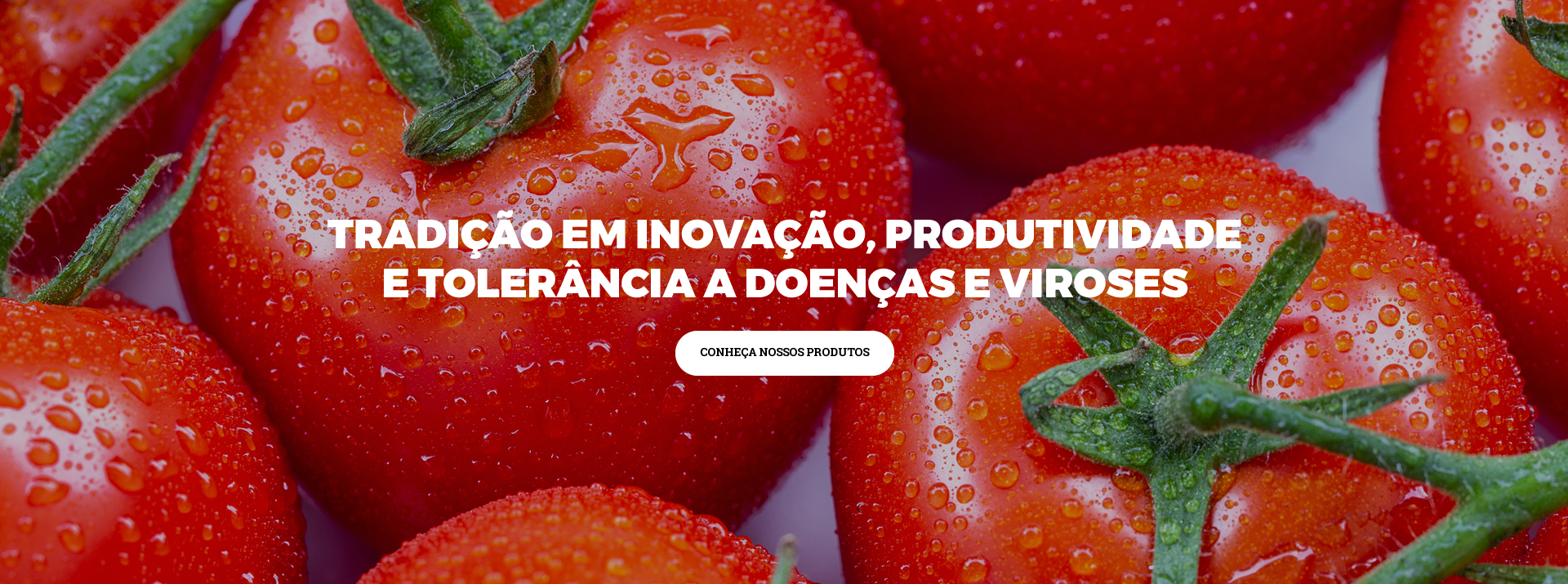Tomate