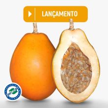 descricao