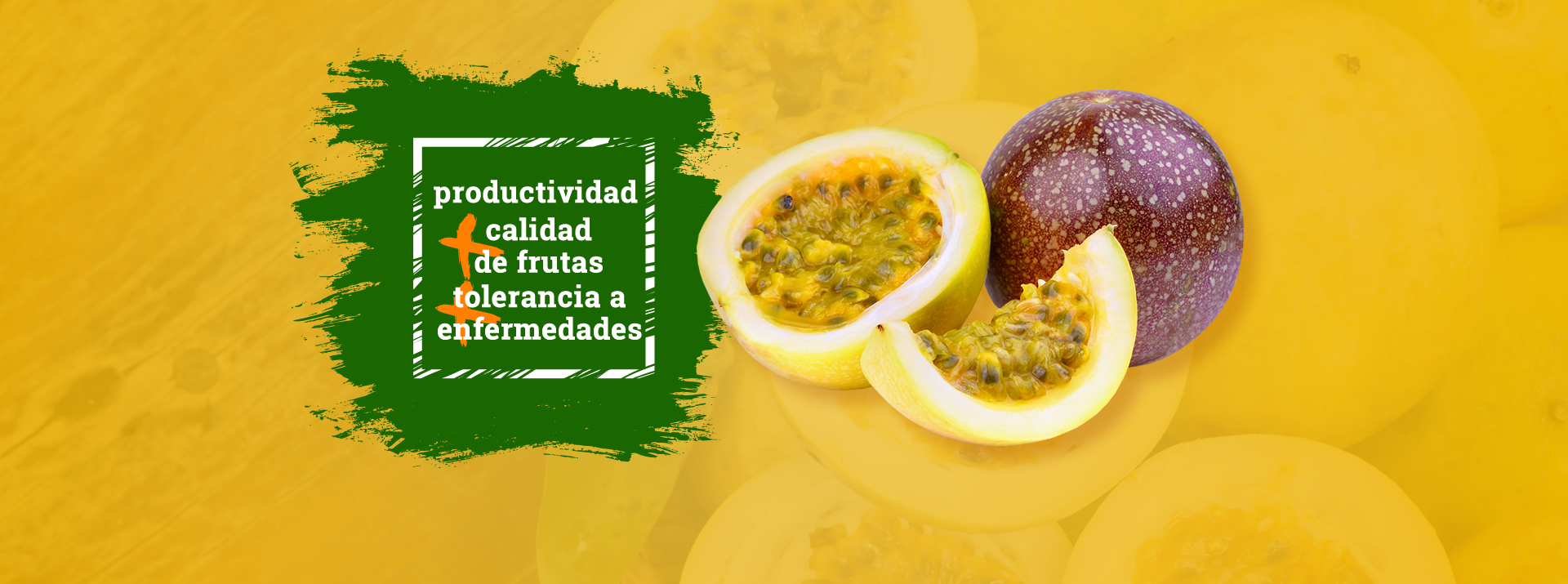 Maracujá