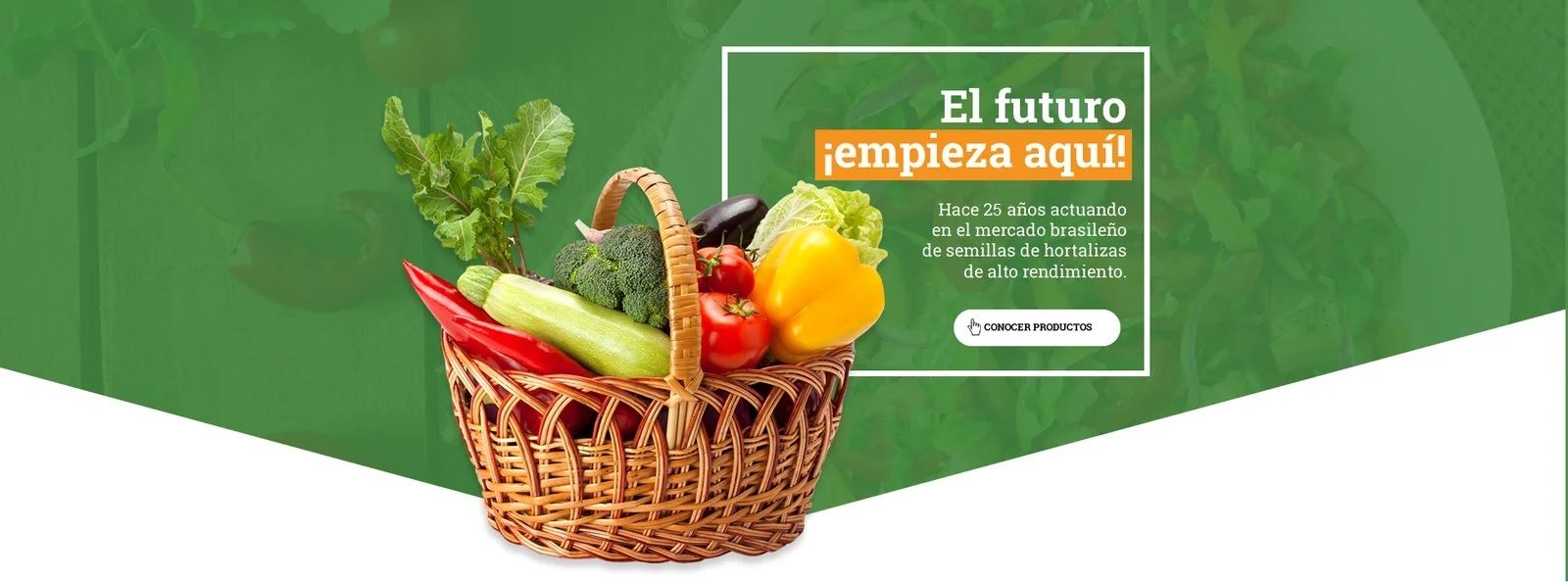 O futuro começa aqui