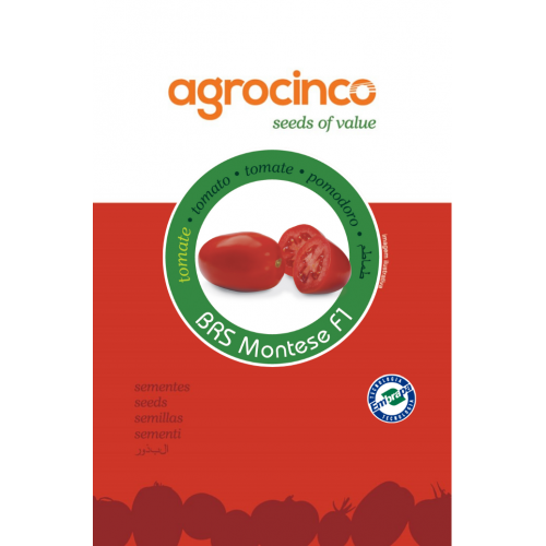 Tomate BRS Montese F1