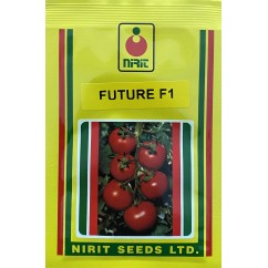 Tomate Future F1