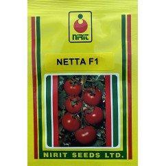 Tomate Netta F1