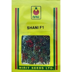 Tomate Shani F1