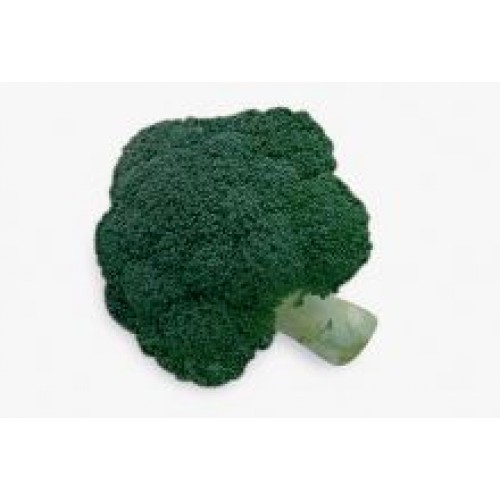 Brocoli Florence F1