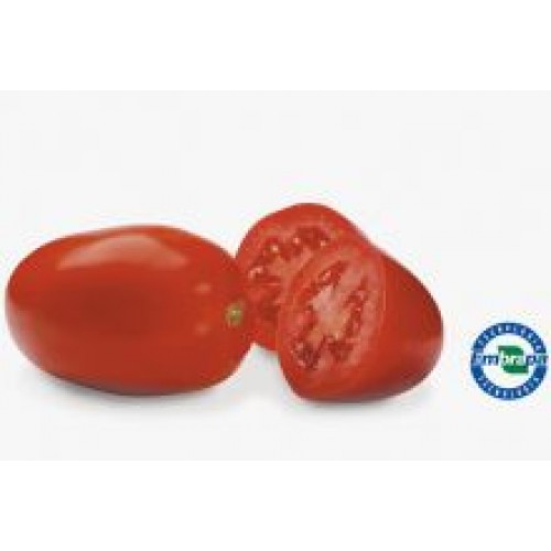 Tomate BRS Montese F1